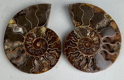 Lot 288 - A CUT AND POLISHED AMMONITE, 

13cm x 10cm