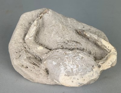 Lot 305 - A LARGE FOSSIL CRAB, 

Eocene with carapace...