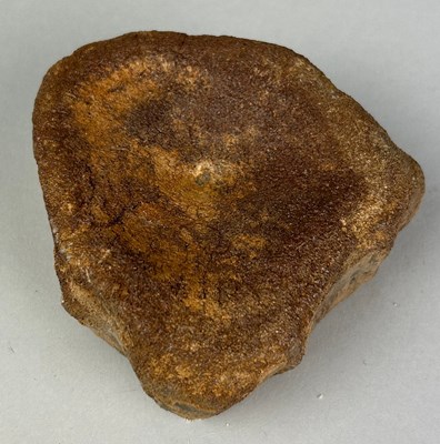 Lot 313M - AN ICHTHYOSAUR VERTEBRA, 

From Abingdon,...