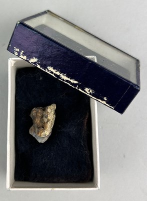 Lot 321 - AN EXTREMELY RARE MOLAR TOOTH OF THE...