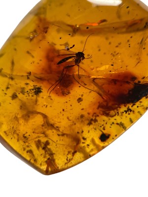 Lot 322 - A MOSQUITO FOSSIL IN AMBER,

A large mosquito...