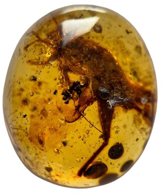 Lot 323 - A CRICKET FOSSIL IN AMBER,

A large cricket in...