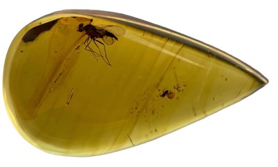 Lot 324 - FLYING INSECT FOSSIL IN AMBER,

A flying...