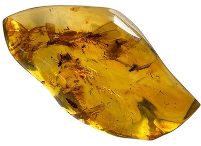 Lot 325 - LARGE AMBER GEM WITH MULTIPLE FOSSIL...