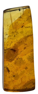 Lot 329 - WASP FOSSIL IN AMBER,

A single wasp fossil in...