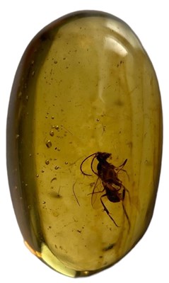 Lot 330 - FLYING INSECT FOSSIL IN AMBER,

A flying...