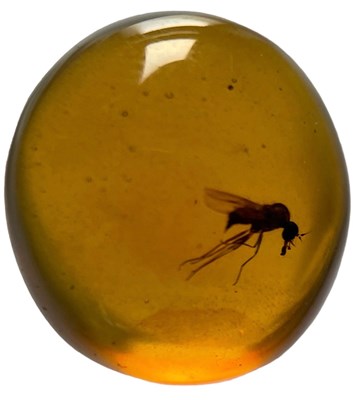 Lot 331 - FLYING INSECT FOSSIL IN AMBER,

A flying...