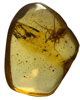 Lot 332 - SPIDER FOSSIL IN AMBER,

A detailed spider...