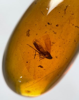 Lot 333 - FLYING INSECT FOSSIL IN AMBER,

A flying...