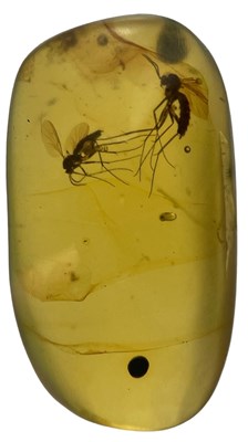 Lot 336 - A MOSQUITO PAIR IN FOSSIL AMBER,

A pair of...