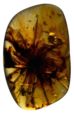 Lot 337 - A RARE DANDELION FOSSIL IN AMBER,

This piece...