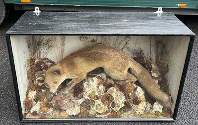 Lot 349 - A CASED TAXIDERMY FOX WITH A DEAD BIRD,...