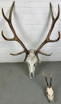 Lot 352 - A LARGE PAIR OF ANTLERS ALONG WITH ANOTHER...