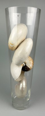 Lot 356 - A TALL GLASS VASE FILLED WITH LARGE NAUTILUS...