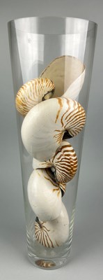 Lot 357 - A TALL GLASS VASE FILLED WITH LARGE NAUTILUS...