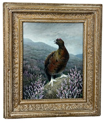 Lot 373 - AN OIL ON BOARD PAINTING OF A GROUSE IN THE...