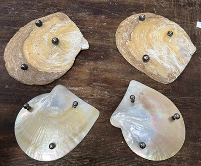 Lot 321 - FOUR MOTHER OF PEARL SHELL DISHES (3)