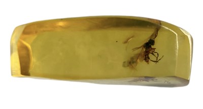 Lot 581 - A FLYING INSECT FOSSIL IN CLEAR AMBER GEM