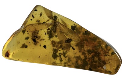 Lot 580 - A FLYING INSECT FOSSIL IN AMBER