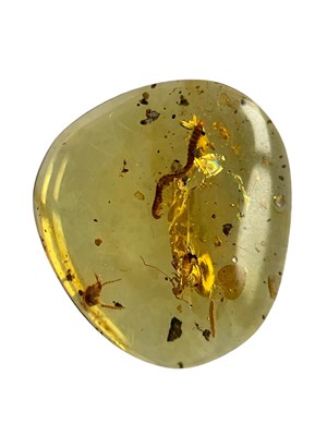 Lot 582 - A MILLIPEDE AND CRICKET FOSSIL IN DINOSAUR AGED AMBER