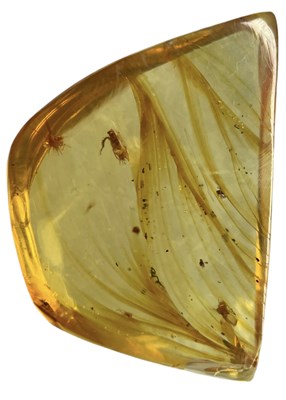 Lot 588 - AN UNKNOWN INSECT FOSSIL IN DINOSAUR AGED AMBER