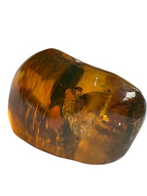 Lot 583 - A MOSQUITO FOSSIL IN DINOSAUR AGED AMBER