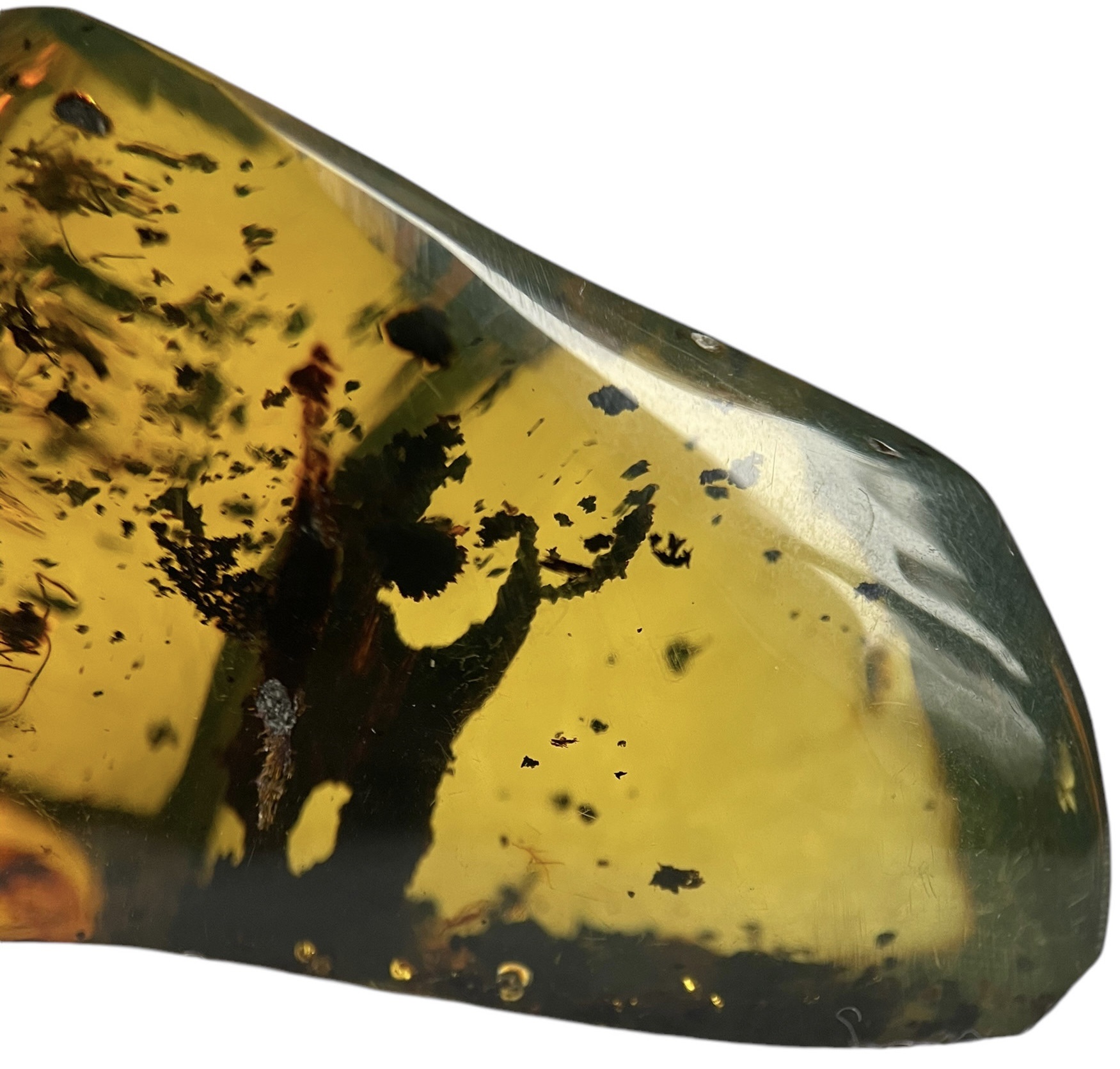 Lot 591 - WASP FOSSILS IN AMBER