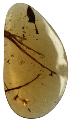 Lot 592 - A LIZARD FOOT FOSSIL IN DINOSAUR AGE AMBER