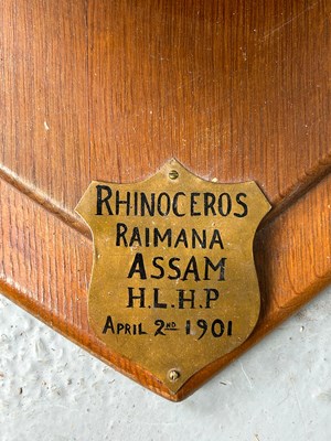 Lot 247 - AN EARLY 20TH CENTURY TAXIDERMY RHINO HEAD...
