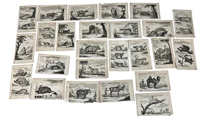 Lot 539A - A GROUP OF 25 EARLY ENGRAVINGS OF COMT DE BUFFON'S WILD ANIMALS SERIES