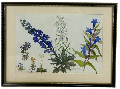 Lot 310 - AN EARLY 19TH CENTURY WATERCOLOUR BY ALICE...