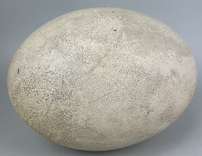 Lot 734 - A LARGE FAUX ELEPHANT BIRD EGG