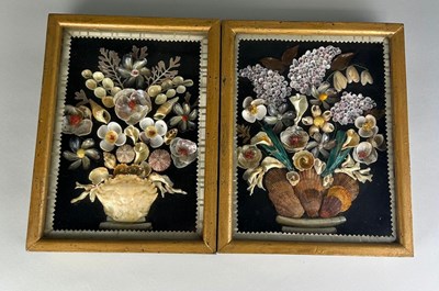 Lot 224 - A PAIR OF FRENCH FRAMED SHELL DISPLAYS, 

27cm...