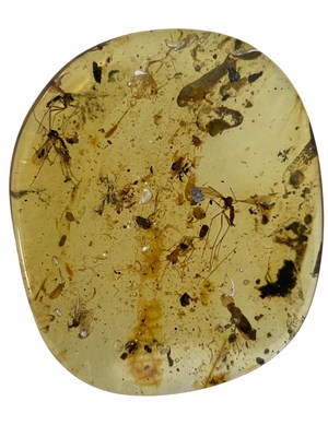 Lot 630 - MOSQUITOES IN DINOSAUR AGED BURMESE AMBER...