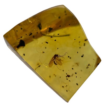 Lot 632 - A WINGED INSECT FOSSIL IN AMBER

A highly...