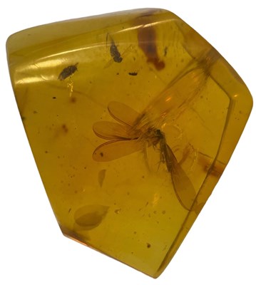 Lot 633 - A WINGED INSECT FOSSIL IN AMBER 

A highly...