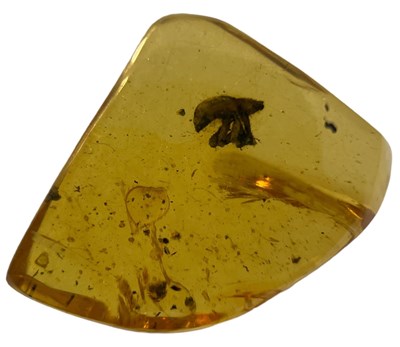 Lot 634 - AN UNKNOWN INSECT FOSSIL IN AMBER

A highly...