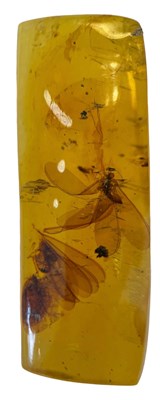 Lot 635 - A PAIR OF WINGED INSECT FOSSIL IN AMBER

A...