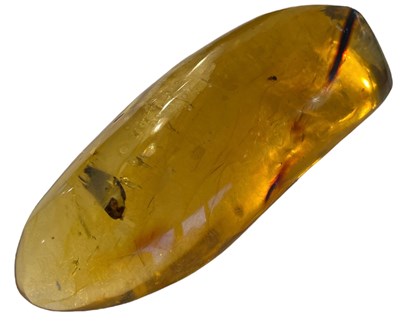 Lot 636 - A VERY LARGE AMBER SPECIMEN WITH INSECT...